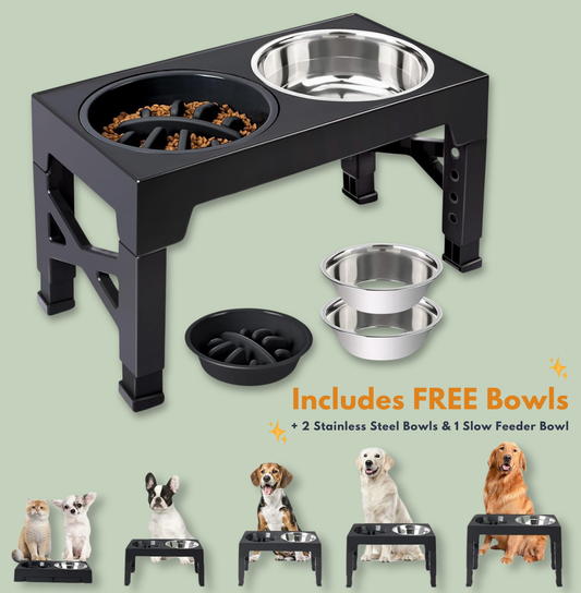 Elevated Dog Bowl